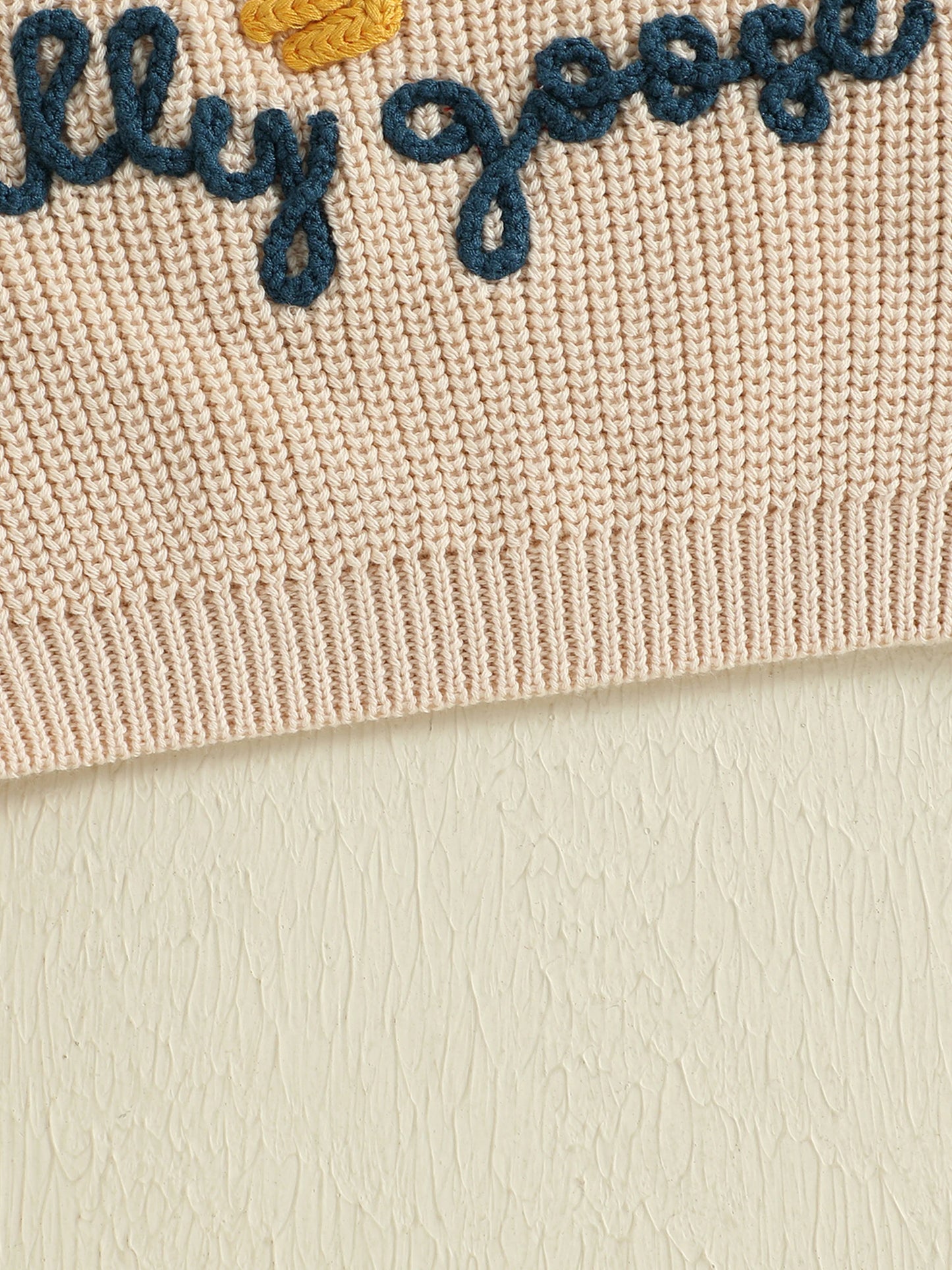 Baby Toddler Boys Girls Silly Goose Sweater Animal Letter Embroidered Crewneck Long Sleeve Pullover Knit Top