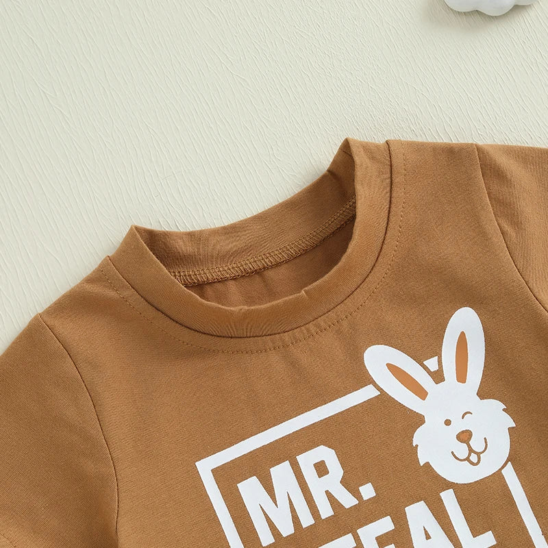 Baby Toddler Boys 2Pcs Mr. Steal Your Eggs Easter Outfit Letter Bunny Rabbit Short Sleeve T-Shirt Top Checkered Shorts Spring Set