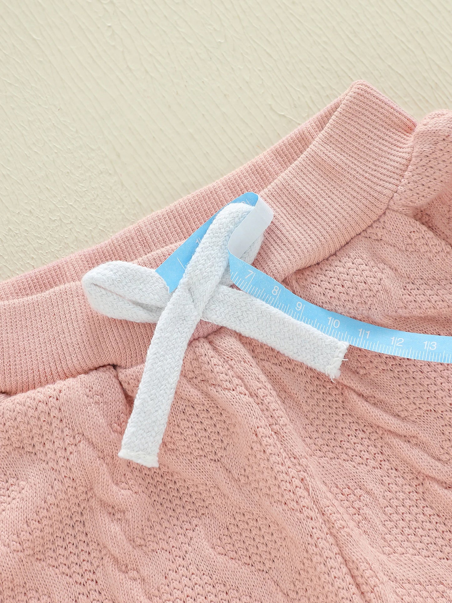 Baby Toddler Girls 2 Piece Outfits Creative Flower Embroidery Long Sleeve Crew Neck Top and Elastic Waist Pants Jogger Set