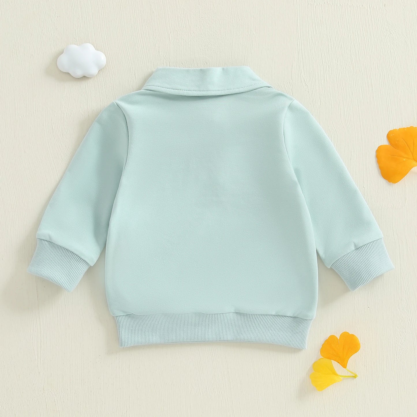 Baby Toddler Boys Long Sleeve Lapel Collar Dinosaur Print Pullover Fall Top