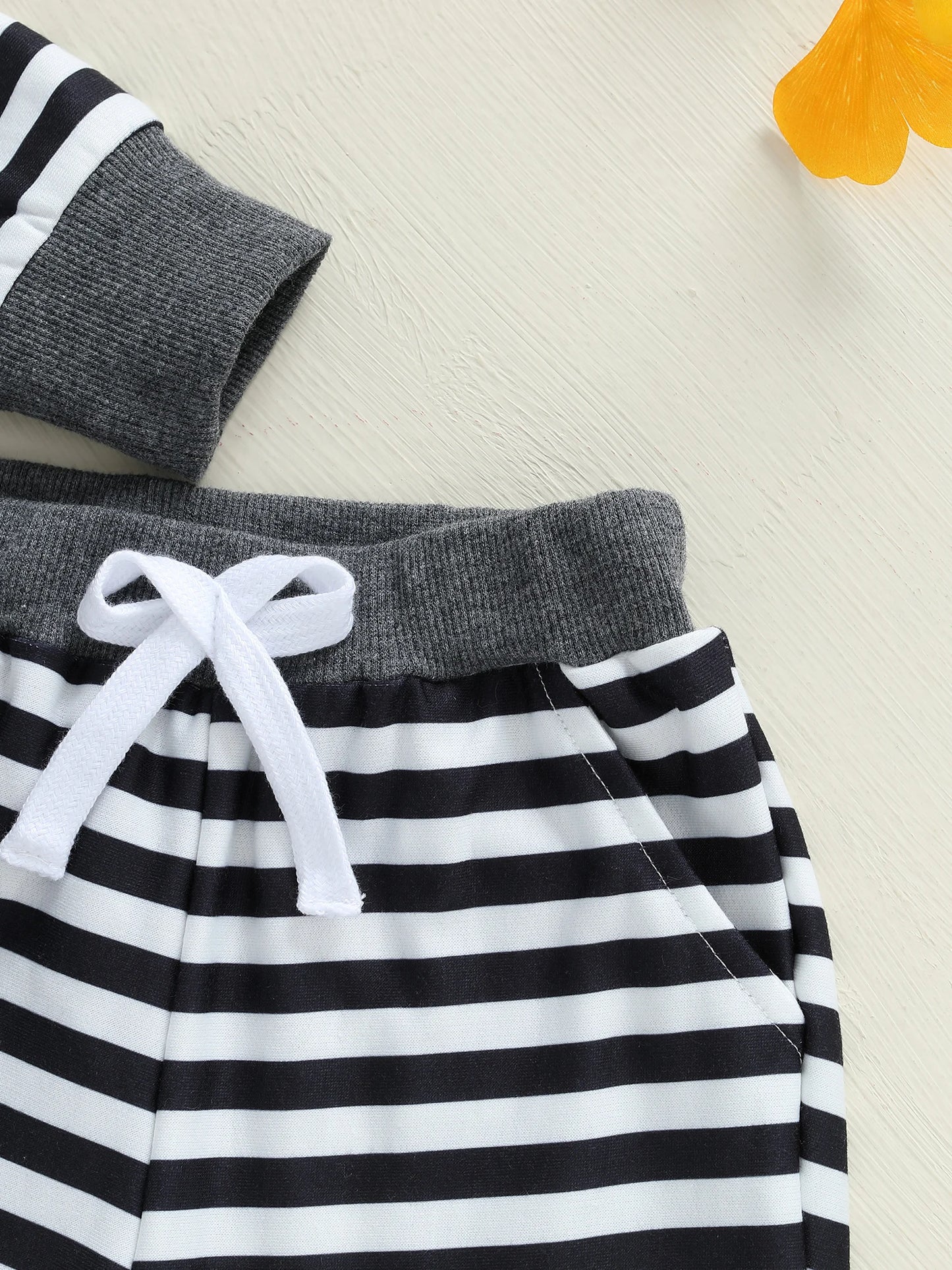 Baby Toddler Boy 2Pcs Fall Outfits Long Sleeve Animal Dinosaur Lemur Hoodies + Elastic Waist Stripe Pants 2Pcs Jogger Set