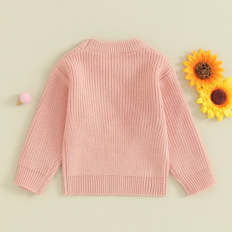 Baby Toddler Kids Girls Sweaters Lil Sister Letter Flower Embroidery Knitted Loose Long Sleeve Top