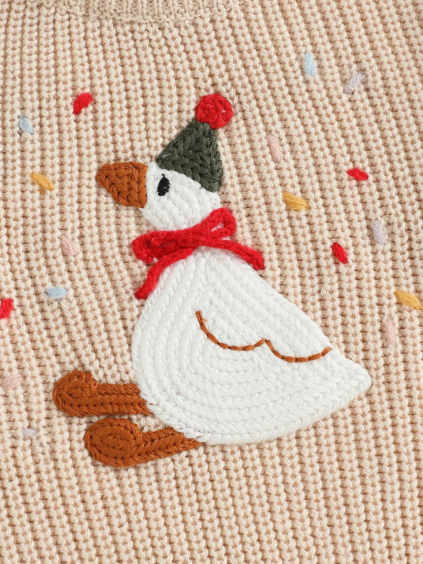 Baby Toddler Girls Boys Birthday Sweaters Long Sleeve Round Neck Silly Goose Party Hat Embroidery Pullover Fall Top