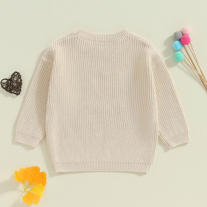 Baby Toddler Kids Girls Big Sister Autumn Winter Knit Sweater Long Sleeve O Neck Letter Embroidery Pullover Knitwear Top