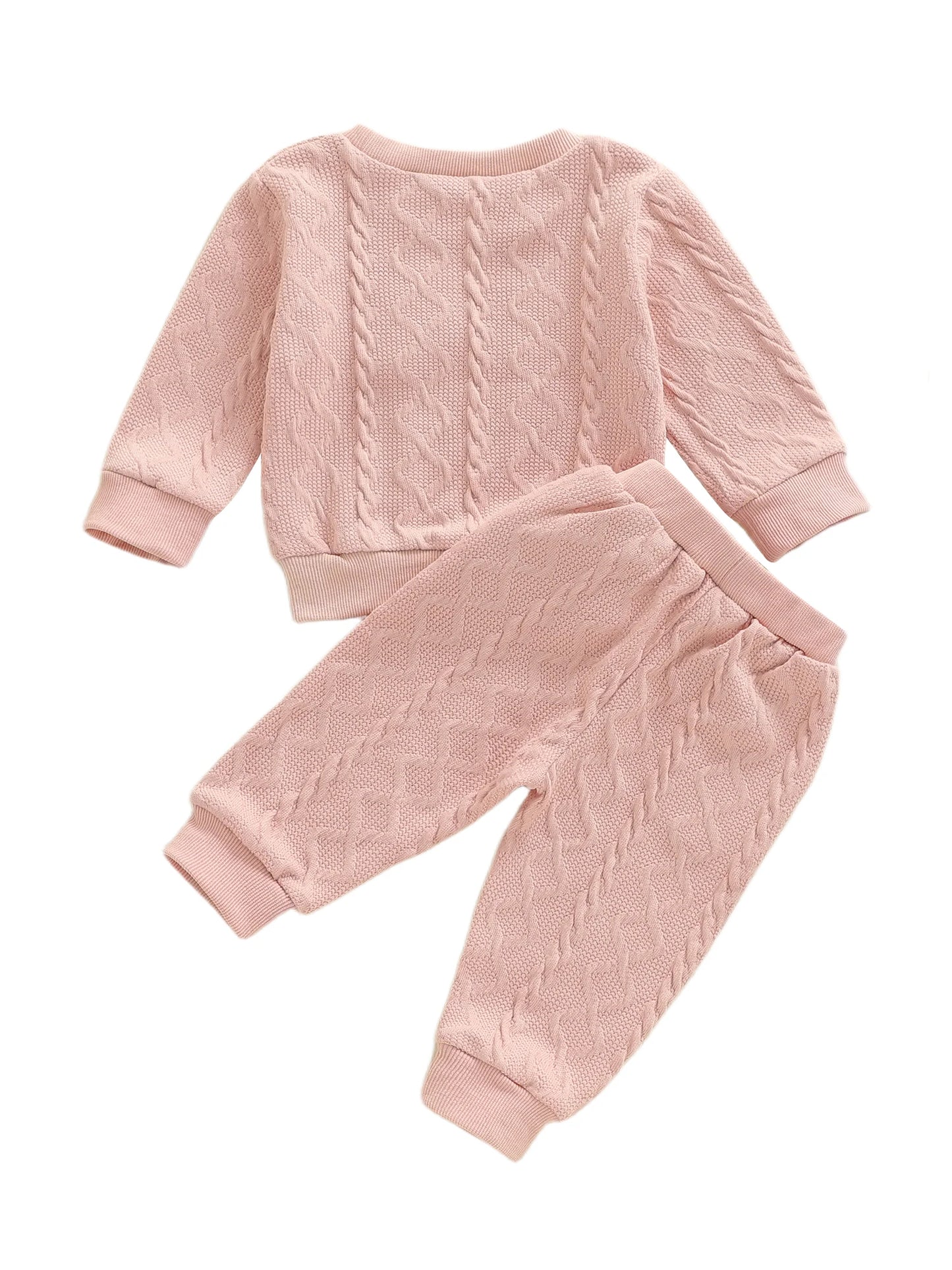 Baby Toddler Girls 2 Piece Outfits Creative Flower Embroidery Long Sleeve Crew Neck Top and Elastic Waist Pants Jogger Set