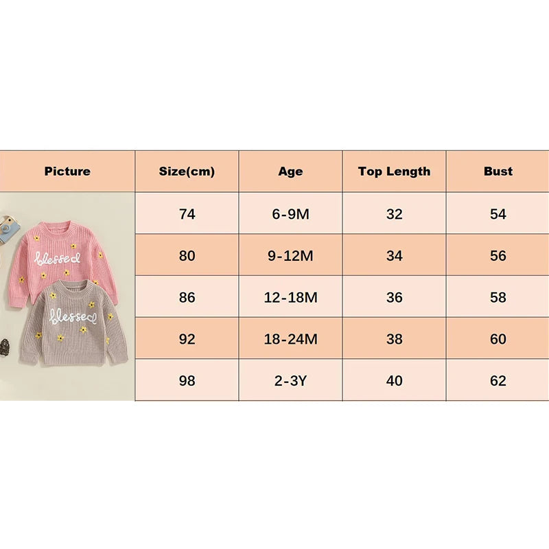 Baby Toddler Girls Blessed Crewneck Knitwear Sweater Flowers Embroidery Long Sleeve Top