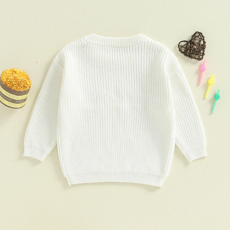 Toddler Kids Girls Boys Sweater Birthday Two / Three / Four / Five / Six Year Old Number Letter Embroidery Crew Neck Long Sleeve Pullover Fall Top