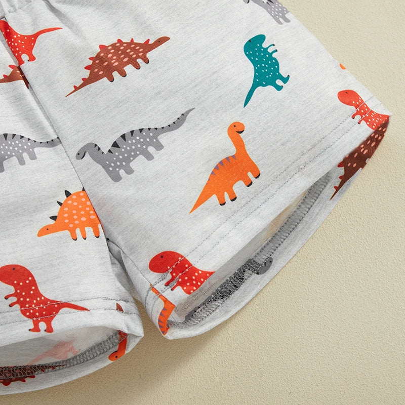 Toddler Kids Boys 2Pcs Dinosaur Outfit Cartoon Print Hooded Short Sleeve Top and Matching Elastic Waist Shorts Set