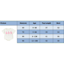 Load image into Gallery viewer, Baby Girl Short Sleeve Flamingo Embroidery Romper Jumpsuit
