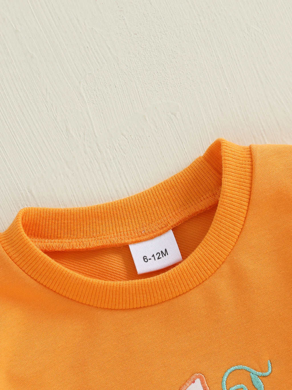 Baby Toddler Boys Girls Long Sleeve Pumpkin/Ghost/Christmas Tree Embroidery Crew Neck Top