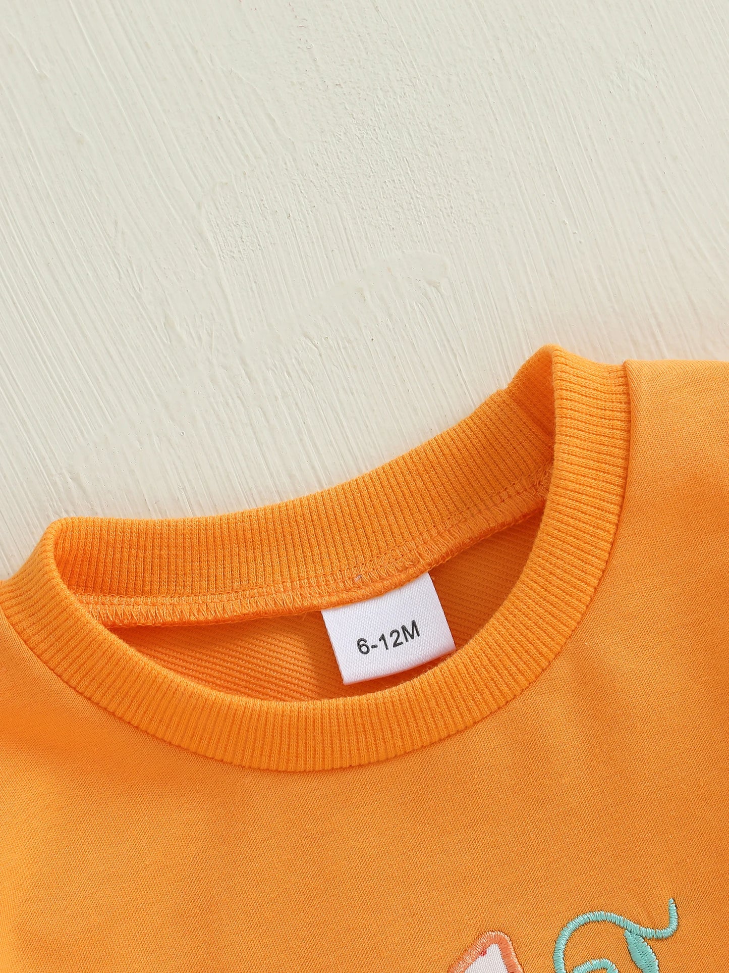 Baby Toddler Boys Girls Long Sleeve Pumpkin/Ghost/Christmas Tree Embroidery Crew Neck Top
