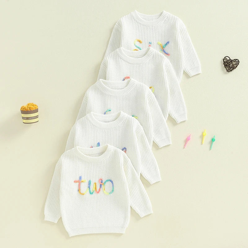 Toddler Kids Girls Boys Sweater Birthday Two / Three / Four / Five / Six Year Old Number Letter Embroidery Crew Neck Long Sleeve Pullover Fall Top