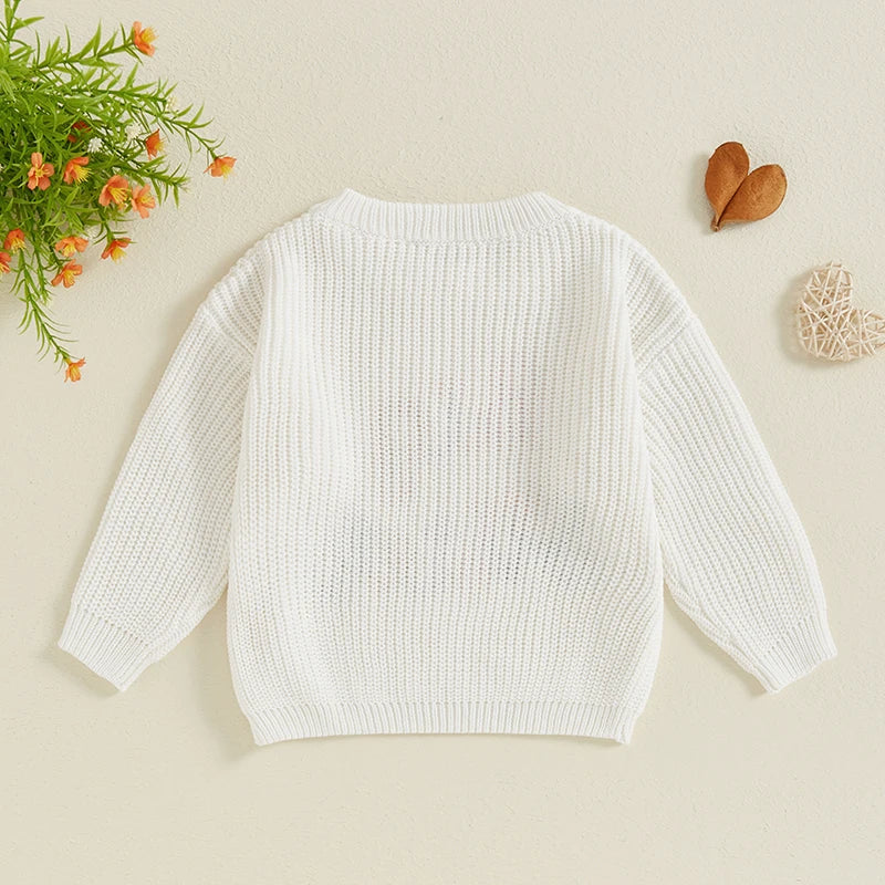 Baby Toddler Kids Girls Big Sister Fall Winter Sweater Casual Letter Flower Embroidery Crew Neck Long Sleeve Pullover Top