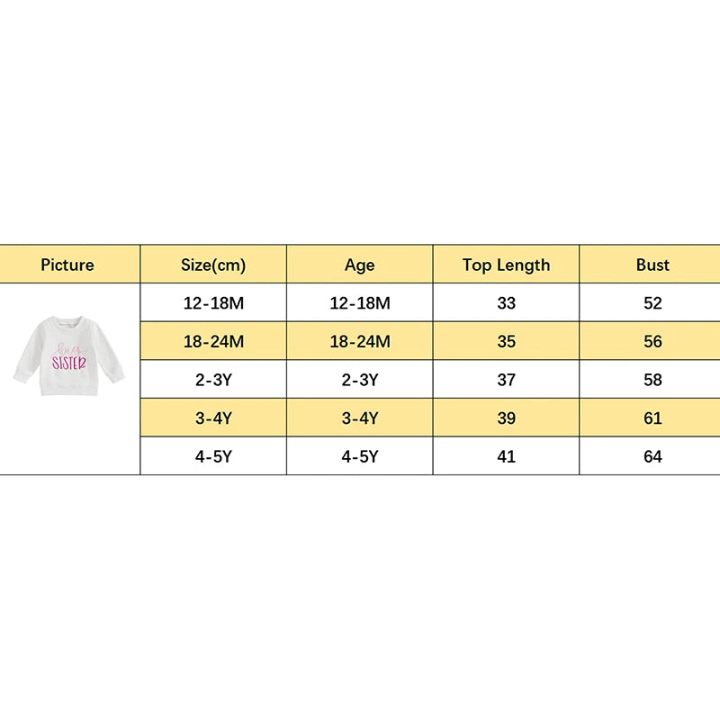 Toddler Kids Girls Letter Big Sister Embroidered Autumn Long Sleeve Round Neck Casual Pullover Top