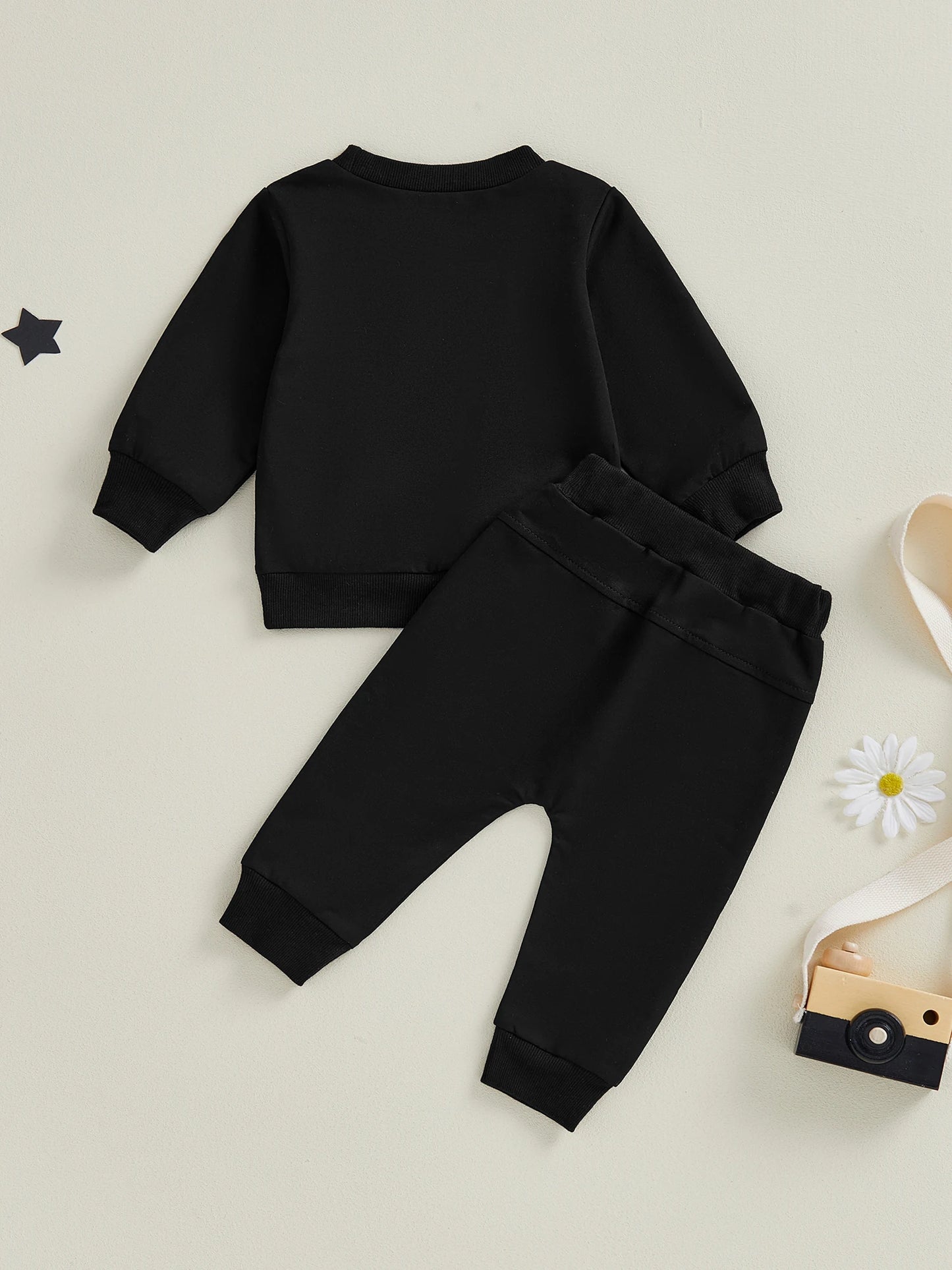 Baby Toddler Boy Girl 2Pcs Spring Fall Outfits Solid Color Long Sleeve Round Neck Pullover Top + Elastic Waist Long Pants Jogger Set
