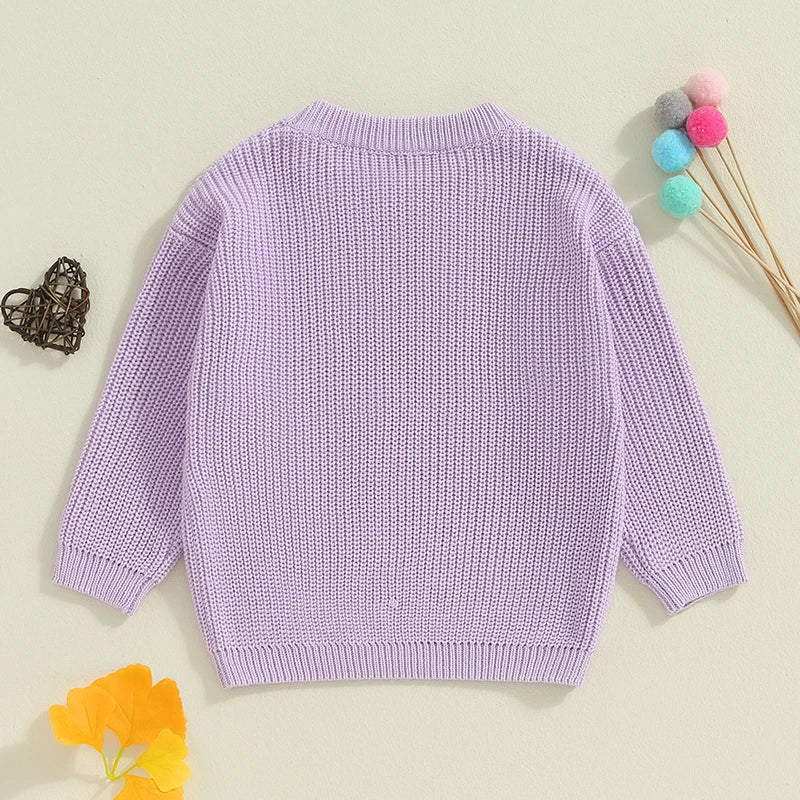 Baby Toddler Kids Girls Big Sister Autumn Winter Knit Sweater Long Sleeve O Neck Letter Embroidery Pullover Knitwear Top