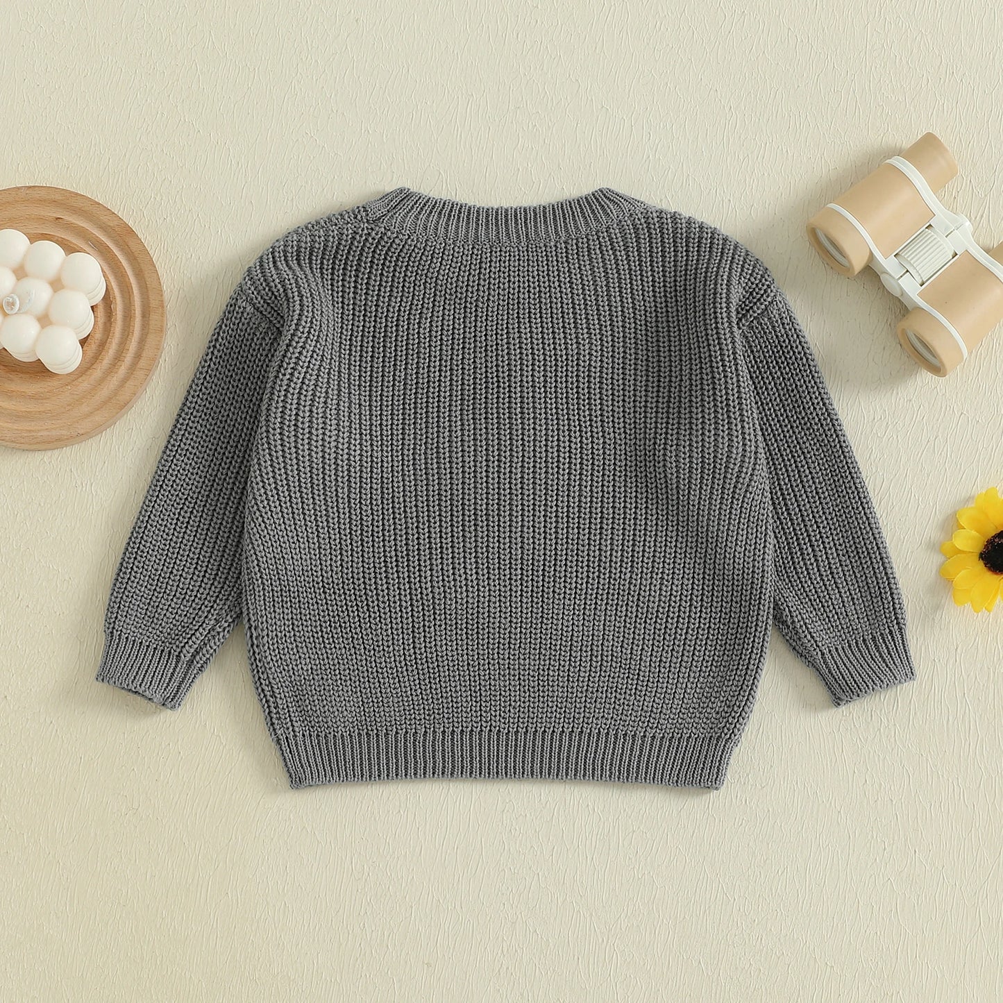 Baby Toddler Boys Girls Silly Goose Sweater Animal Letter Embroidered Crewneck Long Sleeve Pullover Knit Top