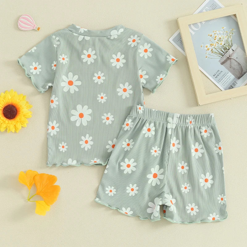 Toddler Baby Girl 2Pcs Spring Summer Clothes Floral Flowers Print Short Sleeve Crewneck Top with Matching Shorts Set Outfit