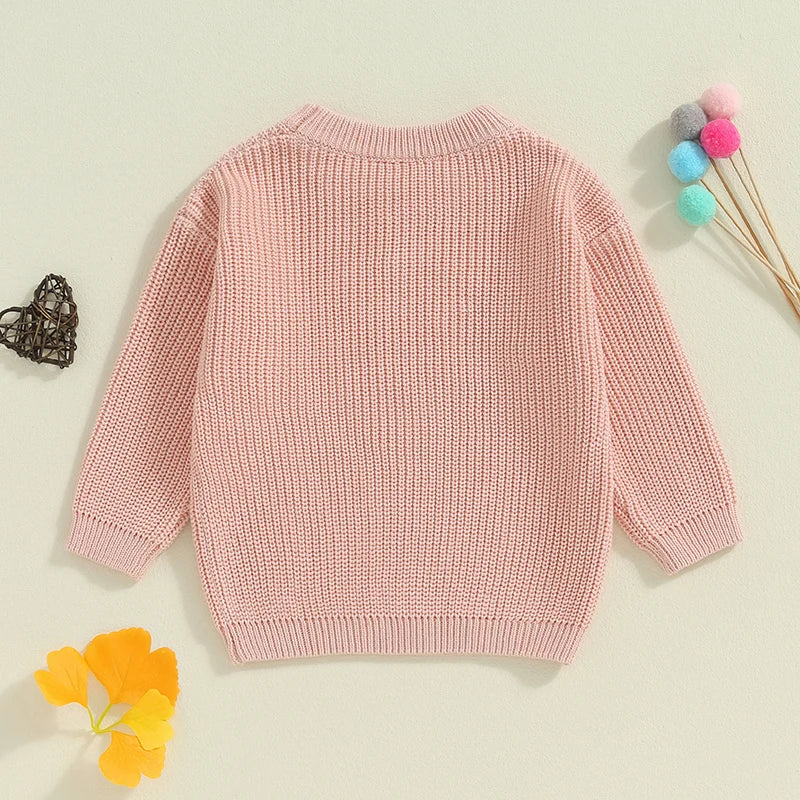 Baby Toddler Kids Girls Big Sister Autumn Winter Knit Sweater Long Sleeve O Neck Letter Embroidery Pullover Knitwear Top