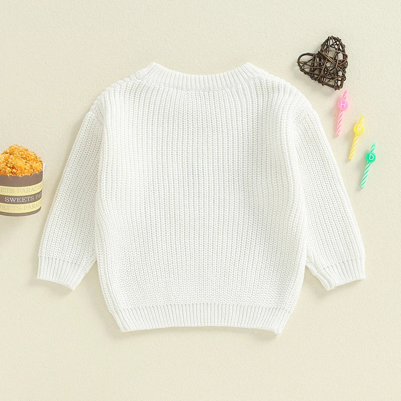 Toddler Kids Girls Boys Sweater Birthday Two / Three / Four / Five / Six Year Old Number Letter Embroidery Crew Neck Long Sleeve Pullover Fall Top