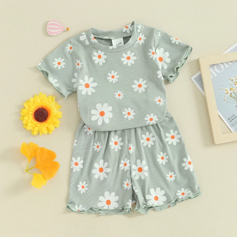 Toddler Baby Girl 2Pcs Spring Summer Clothes Floral Flowers Print Short Sleeve Crewneck Top with Matching Shorts Set Outfit