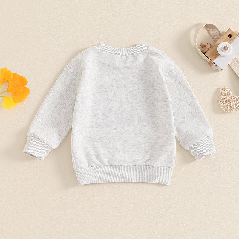 Toddler Kids Girls Boys Big Sister / Brother Matching Clothes Letter Embroidery Crew Neck Long Sleeve Pullover Top