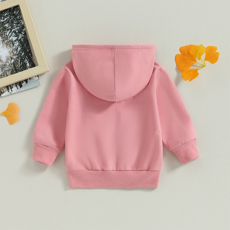 Baby Toddler Kids Boys Girls Hoodies Solid Zip Up Jacket Hooded Long Sleeve Top