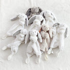 Cute Loveable Bunny Toy