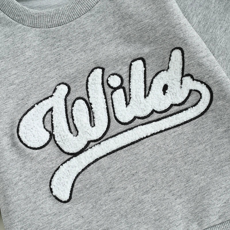 Toddler Kids Boys Girls Wild Fuzzy Letter Embroidered Crew Neck Long Sleeve Pullover Fall Casual Top