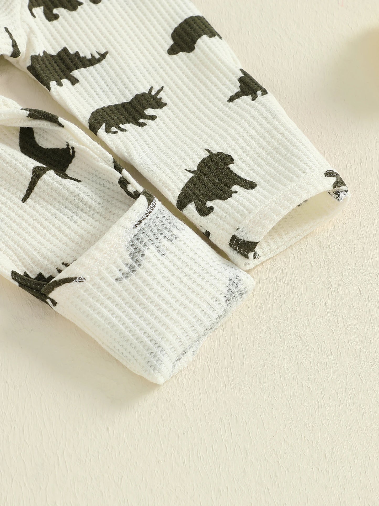 Baby Boys Girls 2Pcs  Jumpsuit Set Long Sleeve Crew Neck Dinosaur Print Fall Casual Romper with Hat