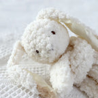 Cute Loveable Bunny Toy