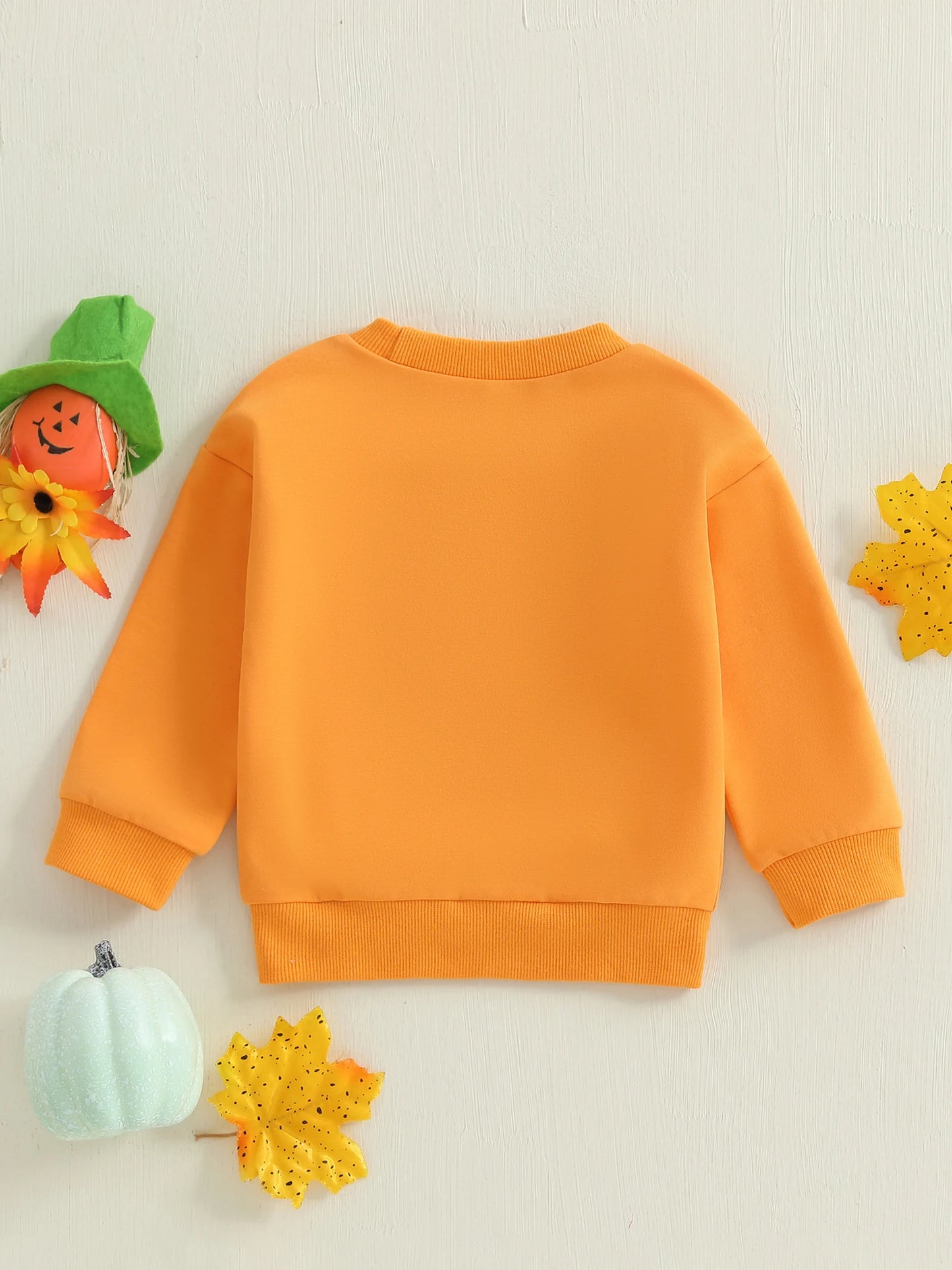 Baby Toddler Boys Girls Long Sleeve Pumpkin/Ghost/Christmas Tree Embroidery Crew Neck Top