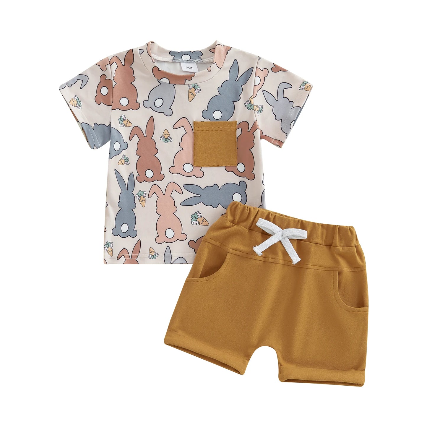 Baby Toddler Boys 2Pcs Easter Shorts Set Carrot Bunny Print Short Sleeve Round Neck Top Elastic Waistband Shorts
