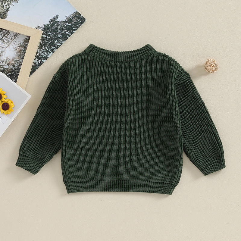 Baby Toddler Kids Girl Boy Knit Sweater Round Neck Long Sleeve Pullover Top Fall Winter Knitwear