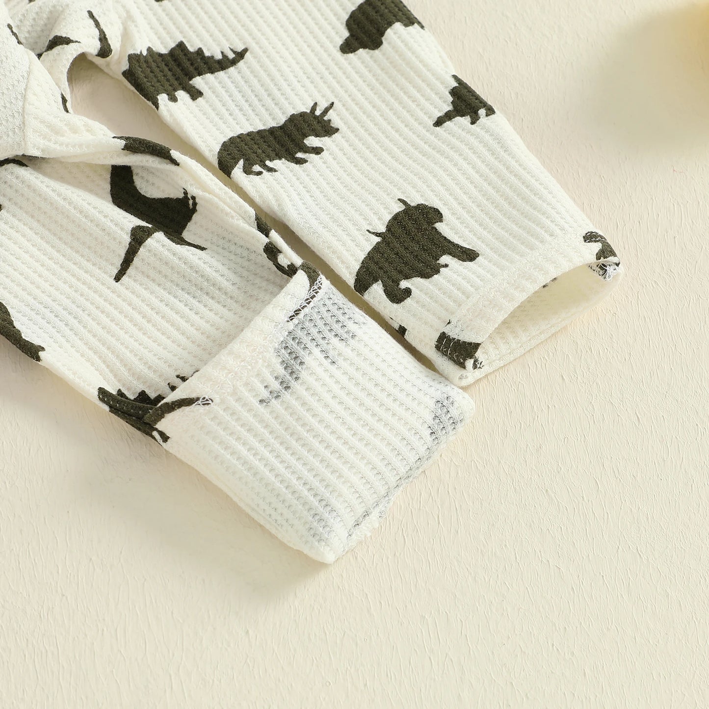 Baby Boys Girls 2Pcs  Jumpsuit Set Long Sleeve Crew Neck Dinosaur Print Fall Casual Romper with Hat