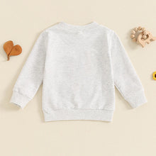 Load image into Gallery viewer, Baby Toddler Boys Big Bro Fuzzy Letter Embroidery Round Neck Long Sleeve Pullover Fall Top
