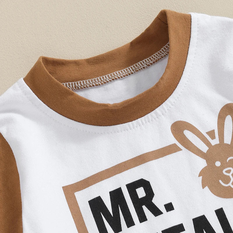 Baby Toddler Boys 2Pcs Easter Outfits Mr. Steal Your Eggs Letter Rabbit Print Contrast Color Short Sleeve T-Shirts Top and Shorts Clothes Set