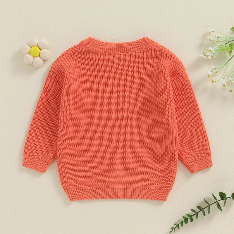 Toddler Kids Girl Big Sister Sweater Cute Long Sleeve Letter Embroidery Knit Pullover Loose Top