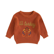 Load image into Gallery viewer, Baby Toddler Boys Girls Wild Turkey Thanksgiving Sweater Casual Letter Turkey Embroidery Warm Knitted Long Sleeve Pullover Knitwear Top
