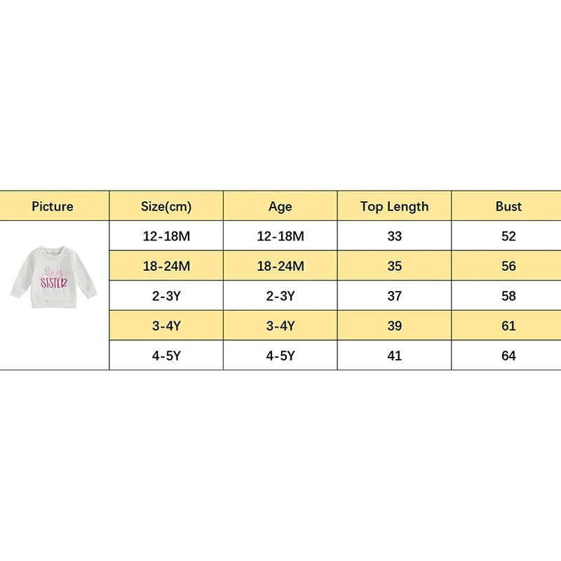 Toddler Kids Girls Letter Big Sister Embroidered Autumn Long Sleeve Round Neck Casual Pullover Top