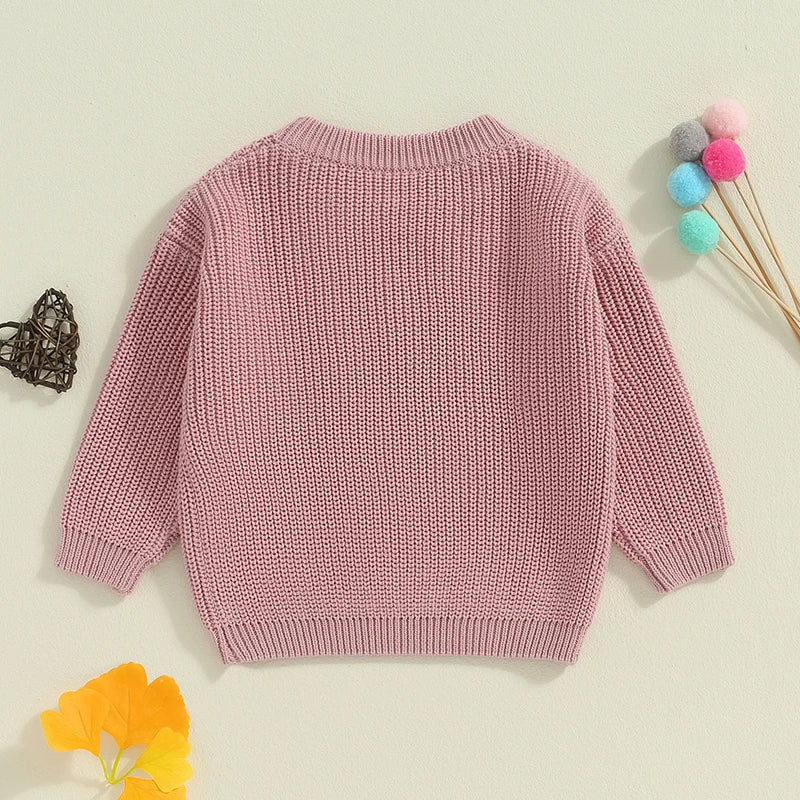 Baby Toddler Kids Girls Big Sister Autumn Winter Knit Sweater Long Sleeve O Neck Letter Embroidery Pullover Knitwear Top