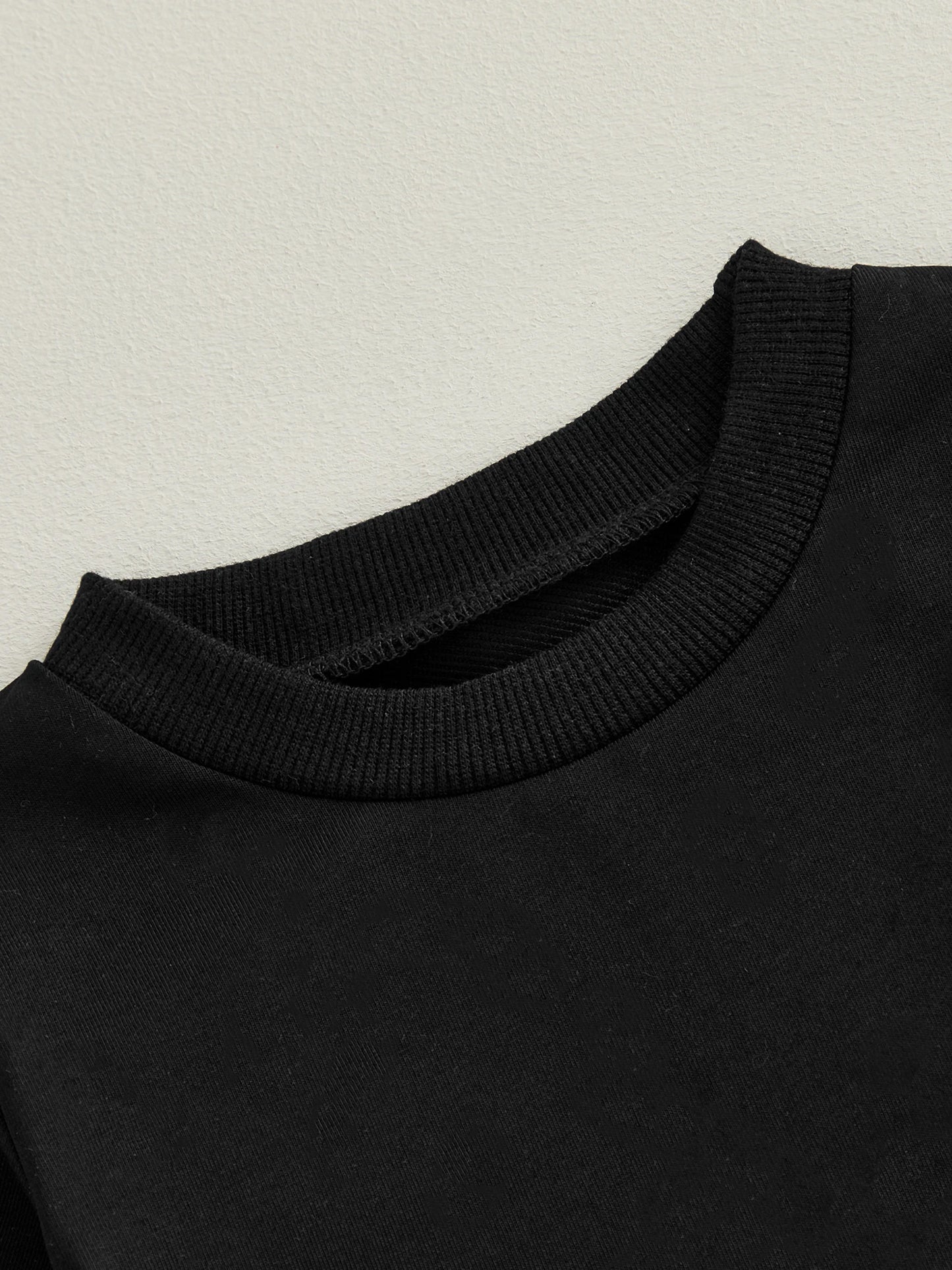 Baby Toddler Boy Girl 2Pcs Spring Fall Outfits Solid Color Long Sleeve Round Neck Pullover Top + Elastic Waist Long Pants Jogger Set