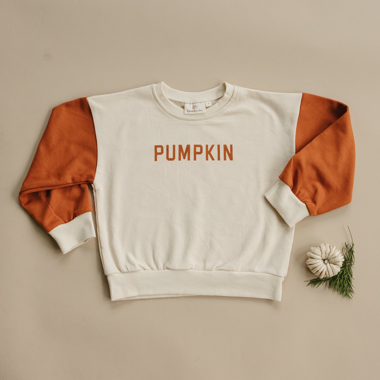 Colorblock ‘Pumpkin’ Crewneck Sweatshirt Top