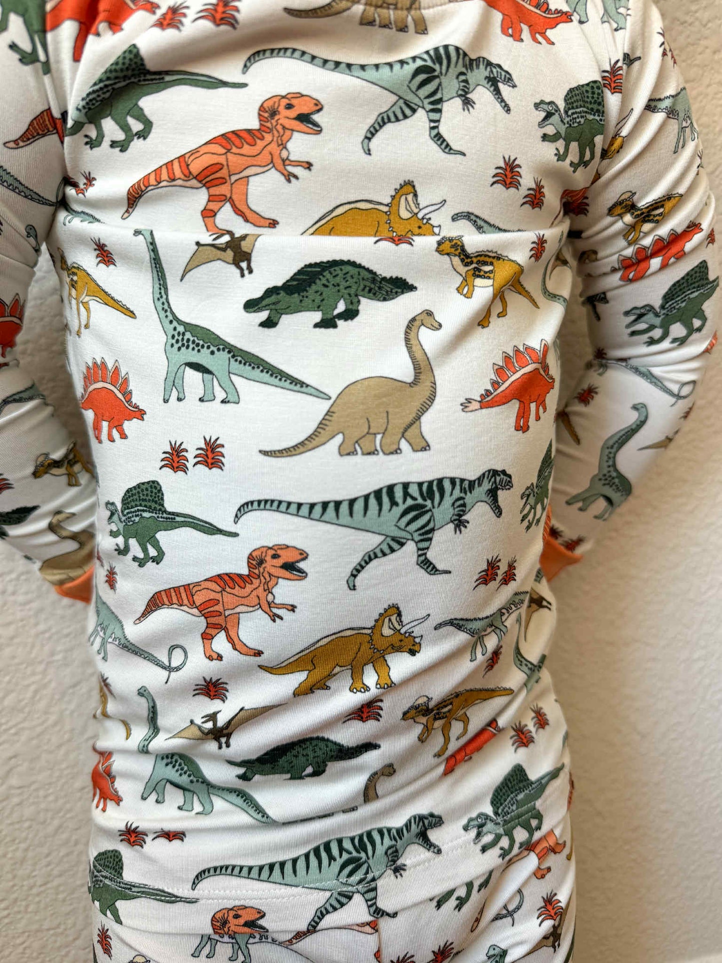 Boho Dinosaur | Two Piece Set