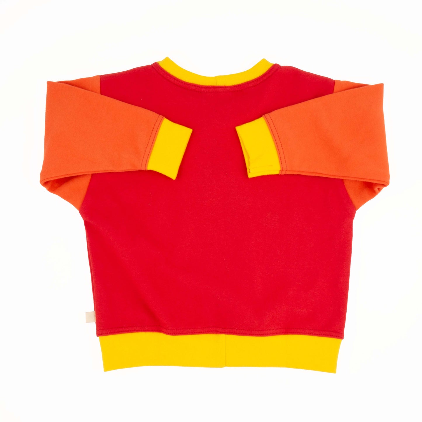 Baby Colorblock Sweatshirt