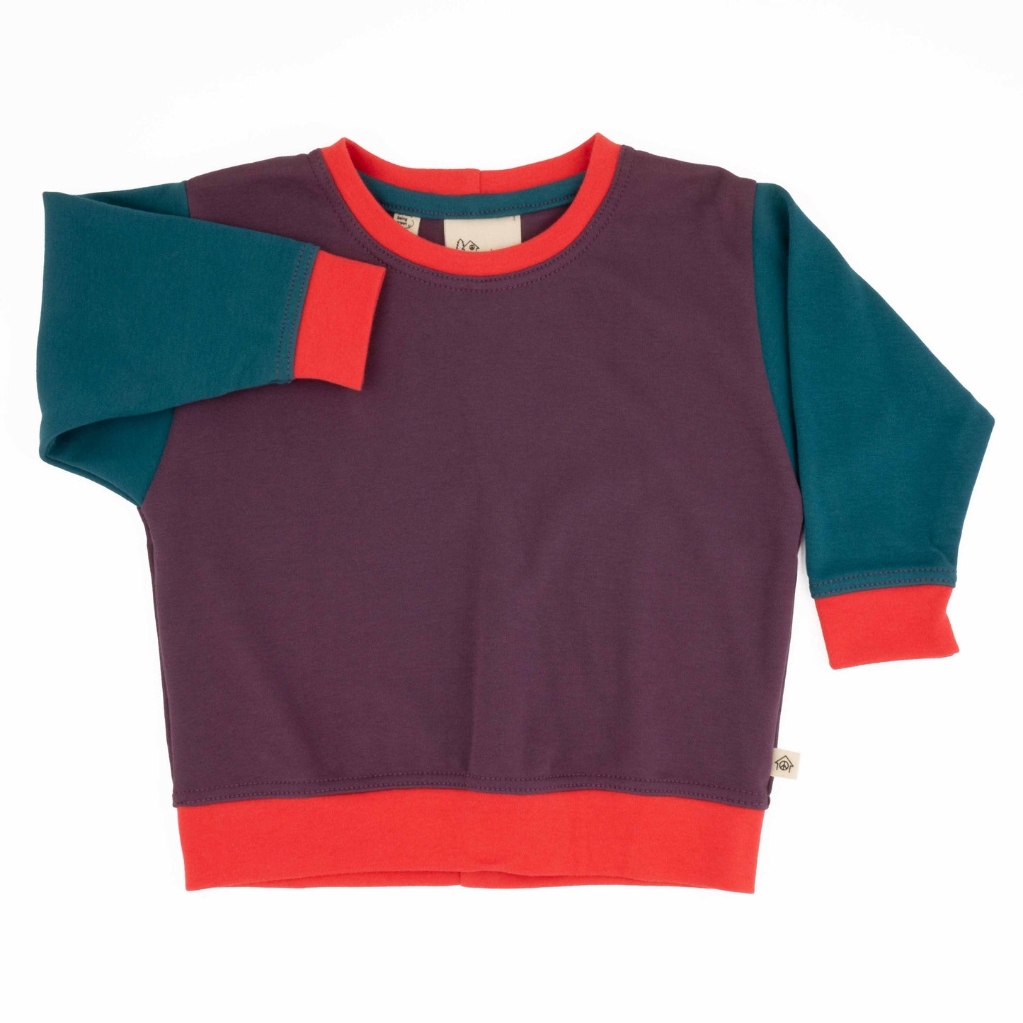 Baby Colorblock Sweatshirt