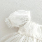 Puff Sleeve Tulle Dress