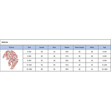 Load image into Gallery viewer, Infant Baby Girls Floral Print Long Sleeve Pullover Top and Pants Outfit Set
